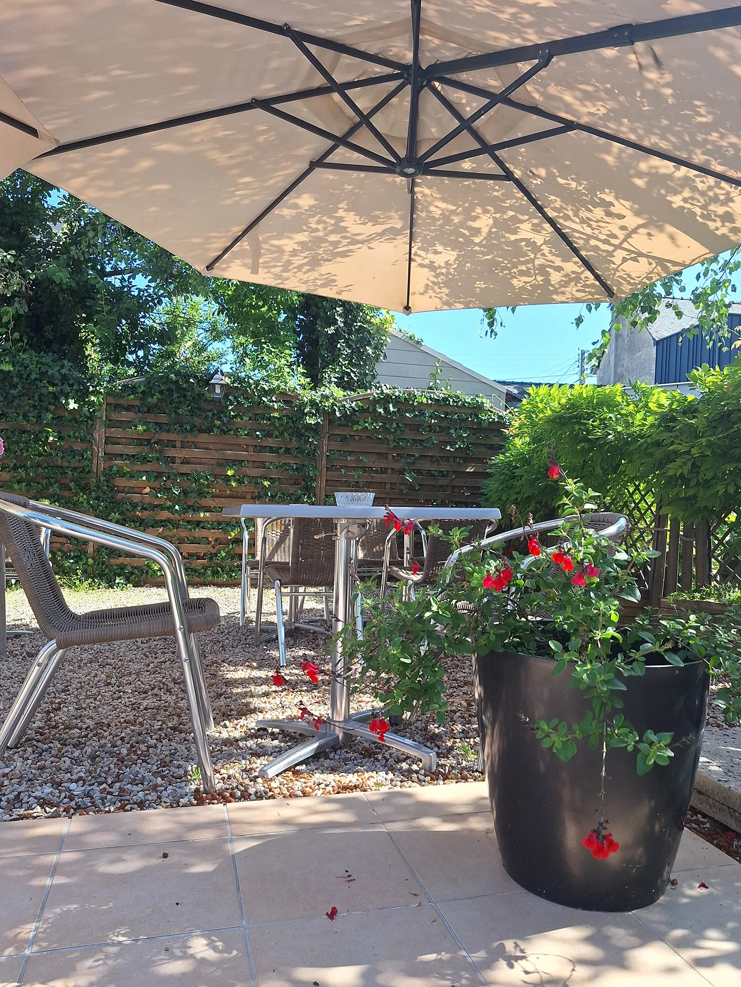 La terrasse du Café Nola